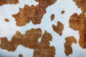 cowhide